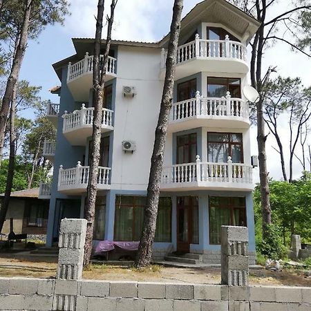 Hotel Shekvetili Shekhvetili Buitenkant foto