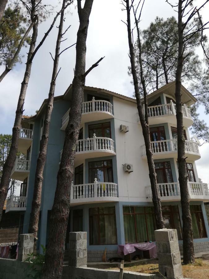 Hotel Shekvetili Shekhvetili Buitenkant foto